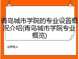青岛城市学院的专业设置概况介绍(青岛城市学院专业概览)