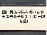 四川民族学院有哪些专业，王牌专业分析(川民院王牌专业)