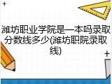 潍坊职业学院是一本吗录取分数线多少(潍坊职院录取线)
