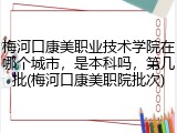 梅河口康美职业技术学院在哪个城市，是本科吗，第几批(梅河口康美职院批次)