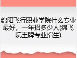 绵阳飞行职业学院什么专业最好，一年招多少人(绵飞院王牌专业招生)