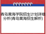 青岛黄海学院招生计划详细分析(青岛黄海招生解析)