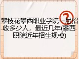 攀枝花攀西职业学院一届招收多少人，最近几年(攀西职院近年招生规模)