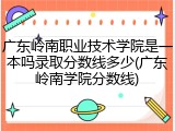 广东岭南职业技术学院是一本吗录取分数线多少(广东岭南学院分数线)