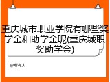 重庆城市职业学院有哪些奖学金和助学金呢(重庆城职奖助学金)