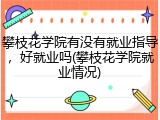 攀枝花学院有没有就业指导，好就业吗(攀枝花学院就业情况)