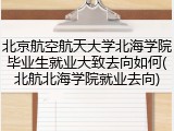 北京航空航天大学北海学院毕业生就业大致去向如何(北航北海学院就业去向)