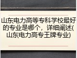 山东电力高等专科学校最好的专业是哪个，详细阐述(山东电力高专王牌专业)