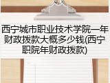 西宁城市职业技术学院一年财政拨款大概多少钱(西宁职院年财政拨款)