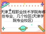天津工程职业技术学院有哪些专业，几个校区(天津学院专业校区)