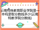 云南特殊教育职业学院是一本吗录取分数线多少(云南特教学院分数线)