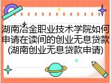 湖南冶金职业技术学院如何申请在读间的创业无息贷款(湖南创业无息贷款申请)