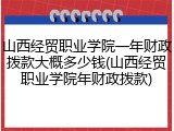 山西经贸职业学院一年财政拨款大概多少钱(山西经贸职业学院年财政拨款)