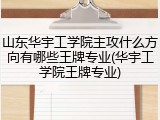 山东华宇工学院主攻什么方向有哪些王牌专业(华宇工学院王牌专业)
