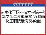 湖南化工职业技术学院一年奖学金最多能拿多少(湖南化工职院最高奖学金)