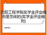 沈阳工程学院奖学金评定细则是怎样的(奖学金评定细则)