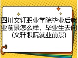 四川文轩职业学院毕业后就业前景怎么样，毕业生去向(文轩职院就业前景)