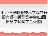 山西信息职业技术学院共开设有哪些类型奖学金(山西信息学院奖学金类型)