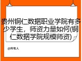 贵州铜仁数据职业学院有多少学生，师资力量如何(铜仁数据学院规模师资)