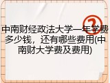 中南财经政法大学一年学费多少钱，还有哪些费用(中南财大学费及费用)