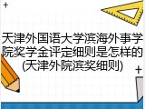 天津外国语大学滨海外事学院奖学金评定细则是怎样的(天津外院滨奖细则)
