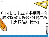 广西电力职业技术学院一年财政拨款大概多少钱(广西电力职院年拨款)