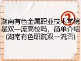 湖南有色金属职业技术学院是双一流高校吗，简单介绍(湖南有色职院双一流否)