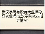 武汉学院有没有就业指导，好就业吗(武汉学院就业指导情况)