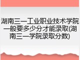湖南三一工业职业技术学院一般要多少分才能录取(湖南三一学院录取分数)