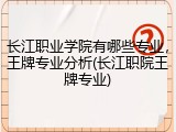 长江职业学院有哪些专业，王牌专业分析(长江职院王牌专业)