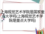 上海视觉艺术学院是国家重点大学吗(上海视觉艺术学院是重点大学吗)