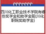 四川化工职业技术学院有哪些奖学金和助学金呢(川化职院奖助学金)