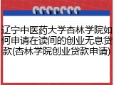 辽宁中医药大学杏林学院如何申请在读间的创业无息贷款(杏林学院创业贷款申请)