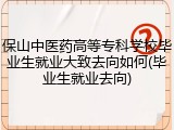 保山中医药高等专科学校毕业生就业大致去向如何(毕业生就业去向)