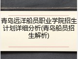 青岛远洋船员职业学院招生计划详细分析(青岛船员招生解析)