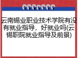 云南锡业职业技术学院有没有就业指导，好就业吗(云锡职院就业指导及前景)