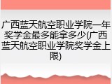 广西蓝天航空职业学院一年奖学金最多能拿多少(广西蓝天航空职业学院奖学金上限)