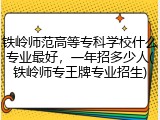 铁岭师范高等专科学校什么专业最好，一年招多少人(铁岭师专王牌专业招生)