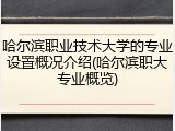 哈尔滨职业技术大学的专业设置概况介绍(哈尔滨职大专业概览)