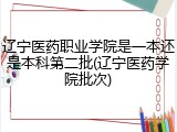 辽宁医药职业学院是一本还是本科第二批(辽宁医药学院批次)
