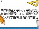 西南财经大学天府学院有没有就业指导中心，详细介绍(天府学院就业指导详情)