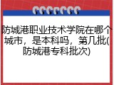 防城港职业技术学院在哪个城市，是本科吗，第几批(防城港专科批次)