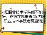 沈阳职业技术学院能不能考研，成绩在哪里查询(沈阳职业技术学院考研查询)