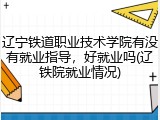 辽宁铁道职业技术学院有没有就业指导，好就业吗(辽铁院就业情况)