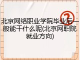 北京网络职业学院毕业后一般能干什么呢(北京网职院就业方向)