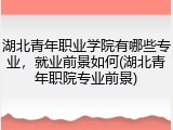 湖北青年职业学院有哪些专业，就业前景如何(湖北青年职院专业前景)