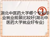 湖北中医药大学哪个专业毕业就业前景比较好(湖北中医药大学就业好专业)