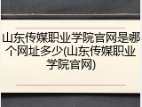 山东传媒职业学院官网是哪个网址多少(山东传媒职业学院官网)