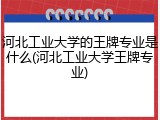 河北工业大学的王牌专业是什么(河北工业大学王牌专业)
