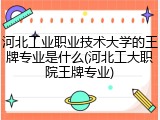 河北工业职业技术大学的王牌专业是什么(河北工大职院王牌专业)